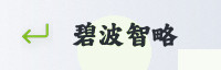 合作伙伴